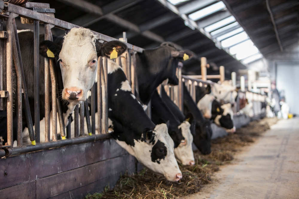 Wijzigen tenaamstelling natuurvergunning